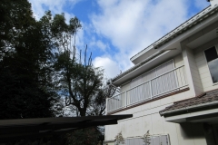 売土地 半田市宮本町4丁目 成約済