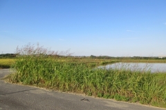 売土地　知多郡阿久比町植大　