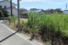 売土地　半田市亀崎高根町６丁目　３号地　全３区画