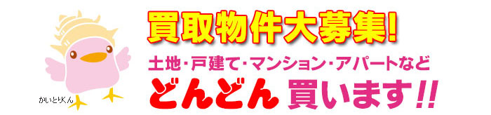 不動産どんどん買います。